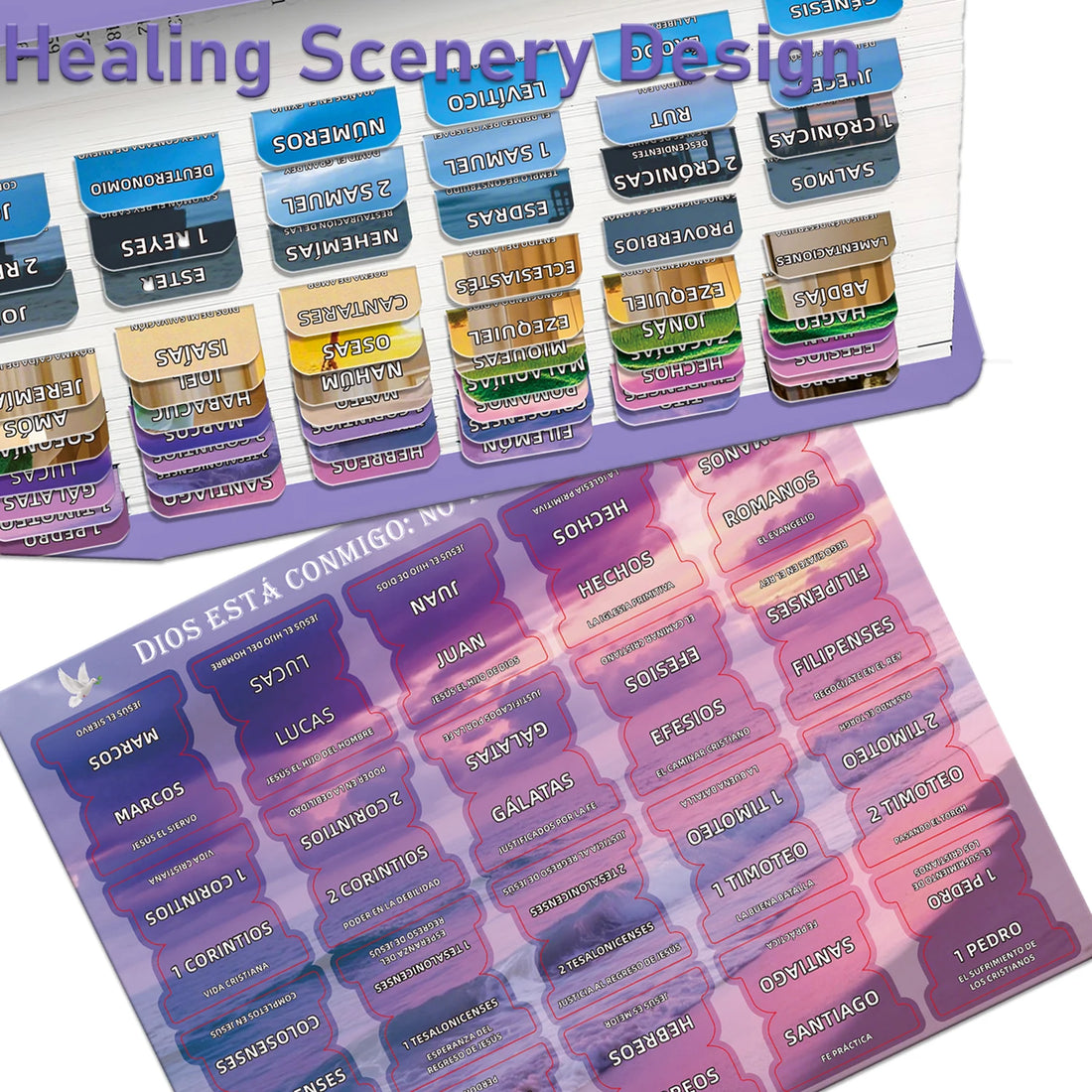 Spanish Laminated Bible Tabs, Elegant Healing Scenery Bible Content in Spanish withSoul Nourishing Book Summaries,Christmas Gift